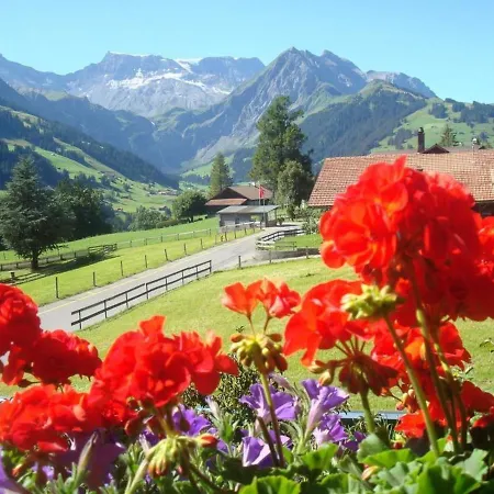 Apartment Huus Horbuetze Daire Adelboden